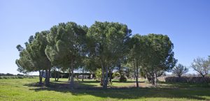 Felanitx Finca Holiday