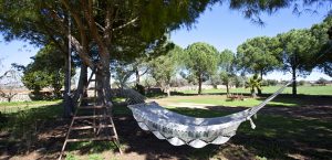 Ferienhaus Mallorca Felanitx