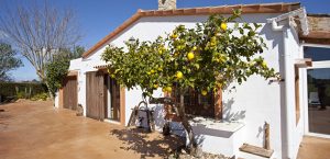 Semesterhus Mallorca