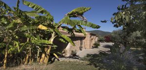 Holiday cottage in Port Nou