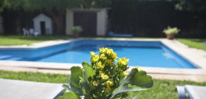 Ferienhaus Mallorca Cala Ratjada