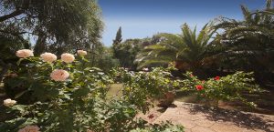 Holiday Rental Cala Millor