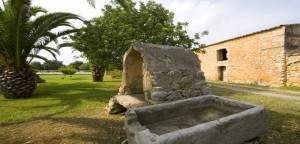 Alquiler Finca Rural Mallorca