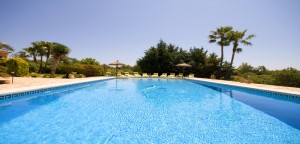 Luxury Rental Villa