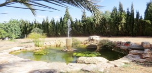Luxury Rental Villa