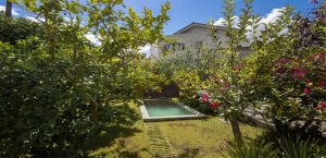 Alquiler Casa Vacacional
