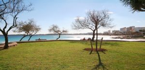 strand playa cala millor