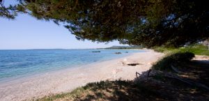 playa costa de los pinos en Mallorca