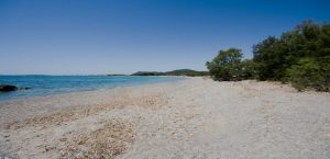 strand costa de los pinos