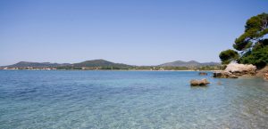 costa de los pinos