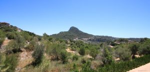 Holiday Finca
