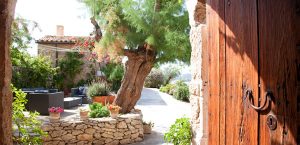 paarurlaub auf mallorca