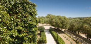 Familien Finca