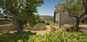 Familien Finca
