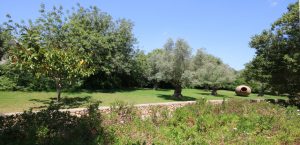 Villa Rental Mallorca Petra