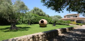 Finca Mallorca Mieten