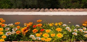 Holiday Rental Mallorca