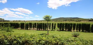 Villa Vacacional