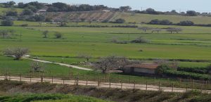 Vía Verde Mallorca