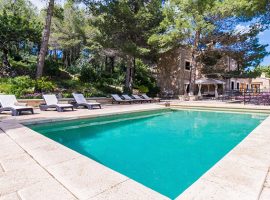 Finca Ref.237