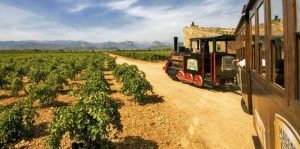 Mallorca Wein Express