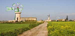 Los molinos de Mallorca patrimonio histórico-cultural