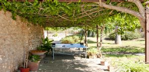holiday rental Mallorca with pool