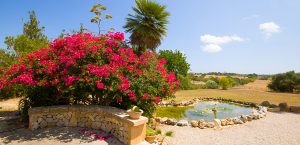 sommerhus mallorca med pool