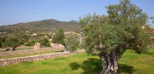 mallorca holiday rural