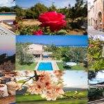 mallorca year round