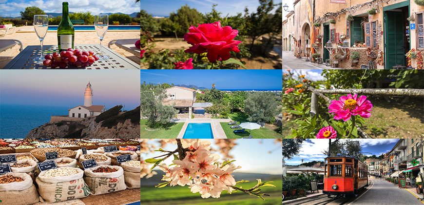 mallorca year round