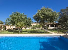 Finca Ref.175