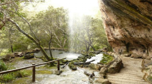 Naturpark im Tramuntana Gebirge