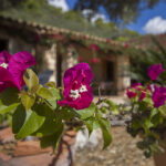 casa vacacional para 6 personas